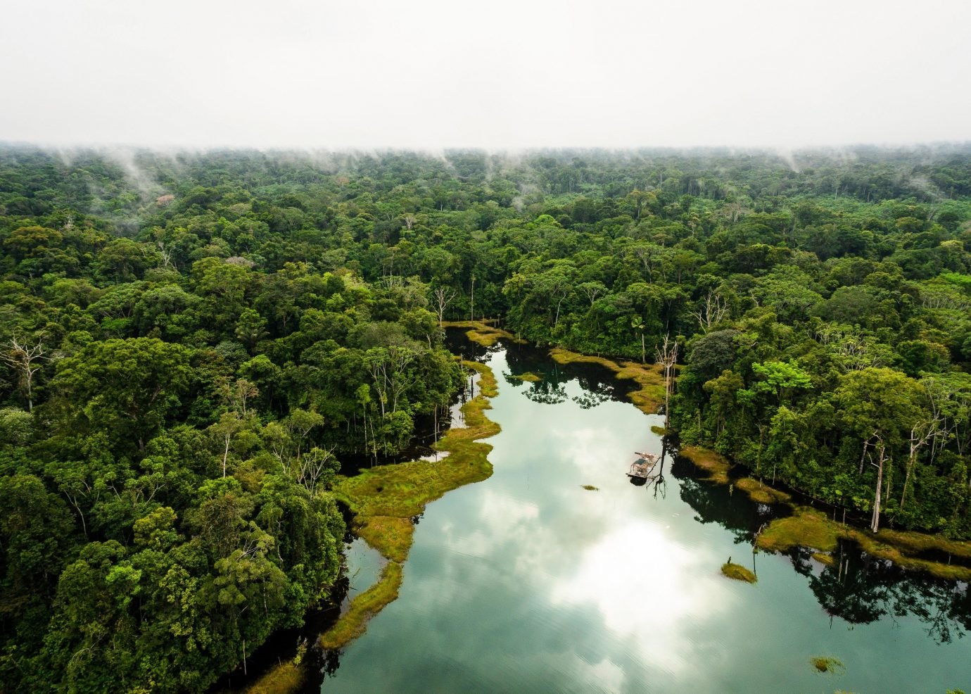 Facts”The Amazon Rainforest” You Need To Know